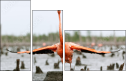 59910019