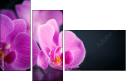 59923716