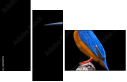 59945759