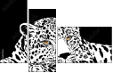 60173514
