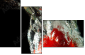 60316396