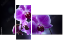60354843