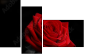 60429320