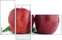 60597899