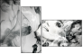 60831181