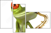 61064251