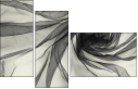 61387582