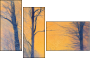 61864050