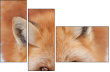 62758452