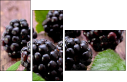 62957499