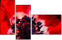 64202605