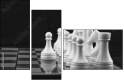 64265045