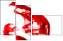 64282012
