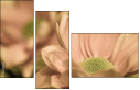 65771321