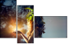 65958619