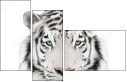 67172414
