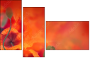 67251094