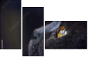 67261784