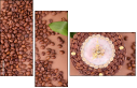 68206263