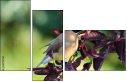 68702565