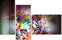 68720496