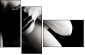 68806614
