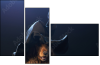 68921322