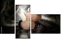 69546353