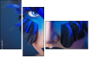 69641172