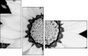 71181016
