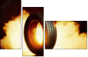 71231906
