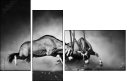 71412657