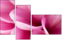 71579272