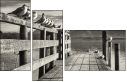 72072664