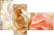 72588674