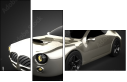 73645668