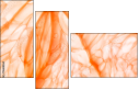 74688264