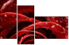 75798905