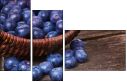 79175349