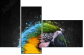 92474854