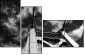 998443