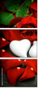 100197651