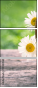 100224563