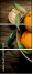 100395786