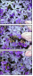 100402580