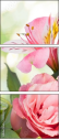 100541576