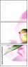 100964675