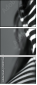 1009755653