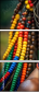 1017301072