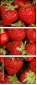 106091